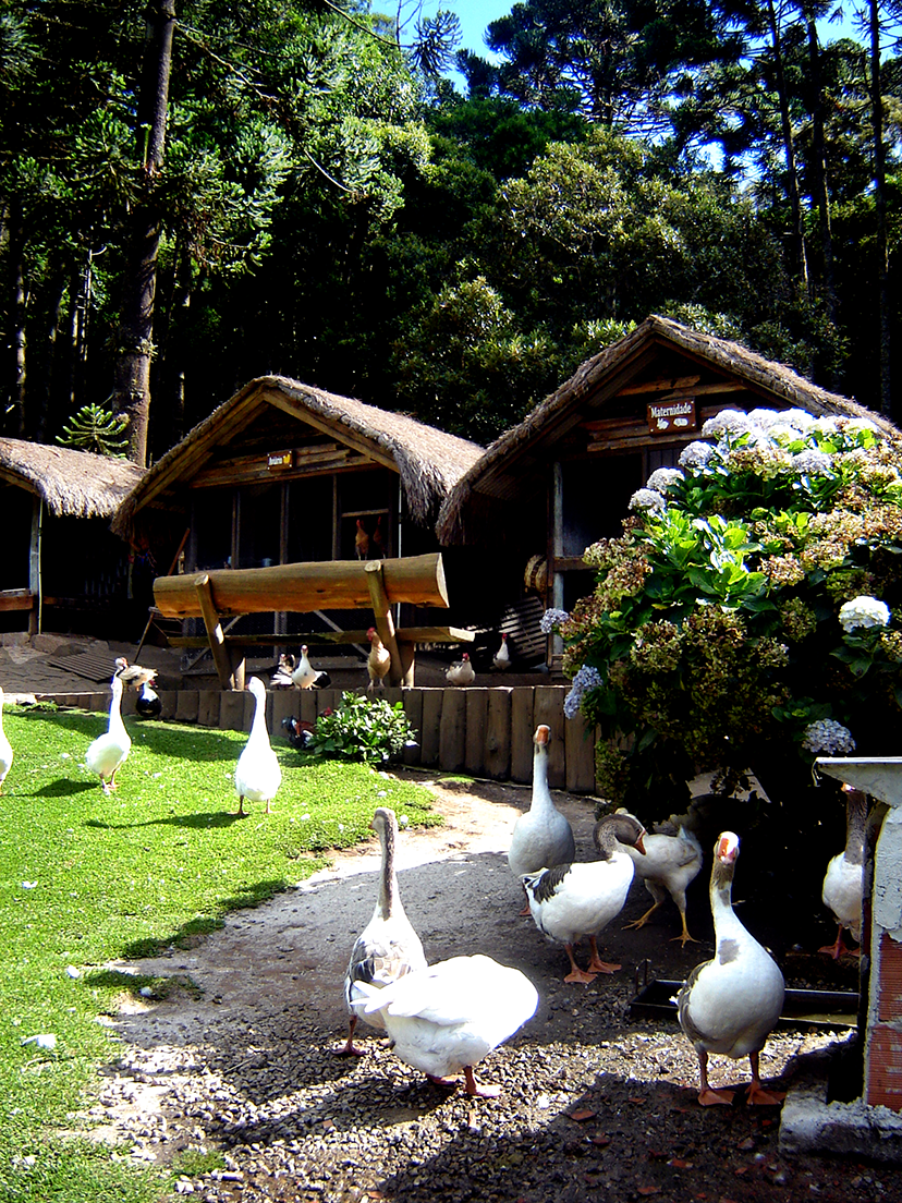 Fazendinha Toriba Campos do Jordão